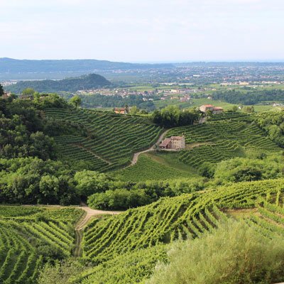 Weine aus Veneto, Italien
