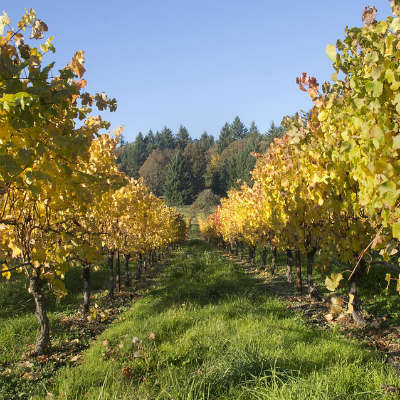 Oregon