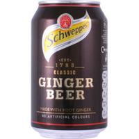 Schweppes - Ginger Beer 24x 330ml Cans