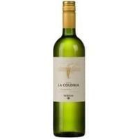 Bodega Norton - Finca La Colonia Torrontes 2013 12x 75cl Bottles