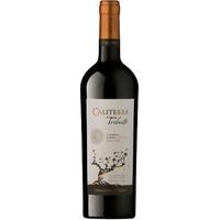 Caliterra - Tributo Carmenere 2014 6x 75cl Bottles