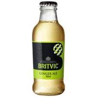 Britvic - Ginger Ale 24x 160ml Bottles