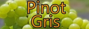 Weine mit Pinot Gris
