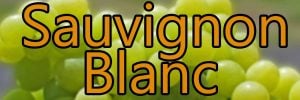 Weine mit Sauvignon Blanc trauben