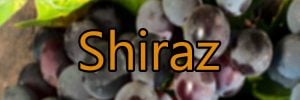 Weine mit Shiraz trauben