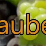 Reben und Trauben Sorten
