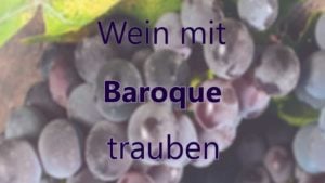 Wein mit Baroque Trauben