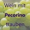 Wein mit Pecorino-Trauben