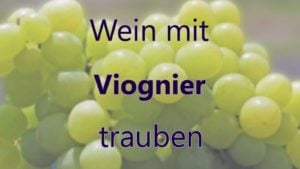 Wein mit Viognier Trauben