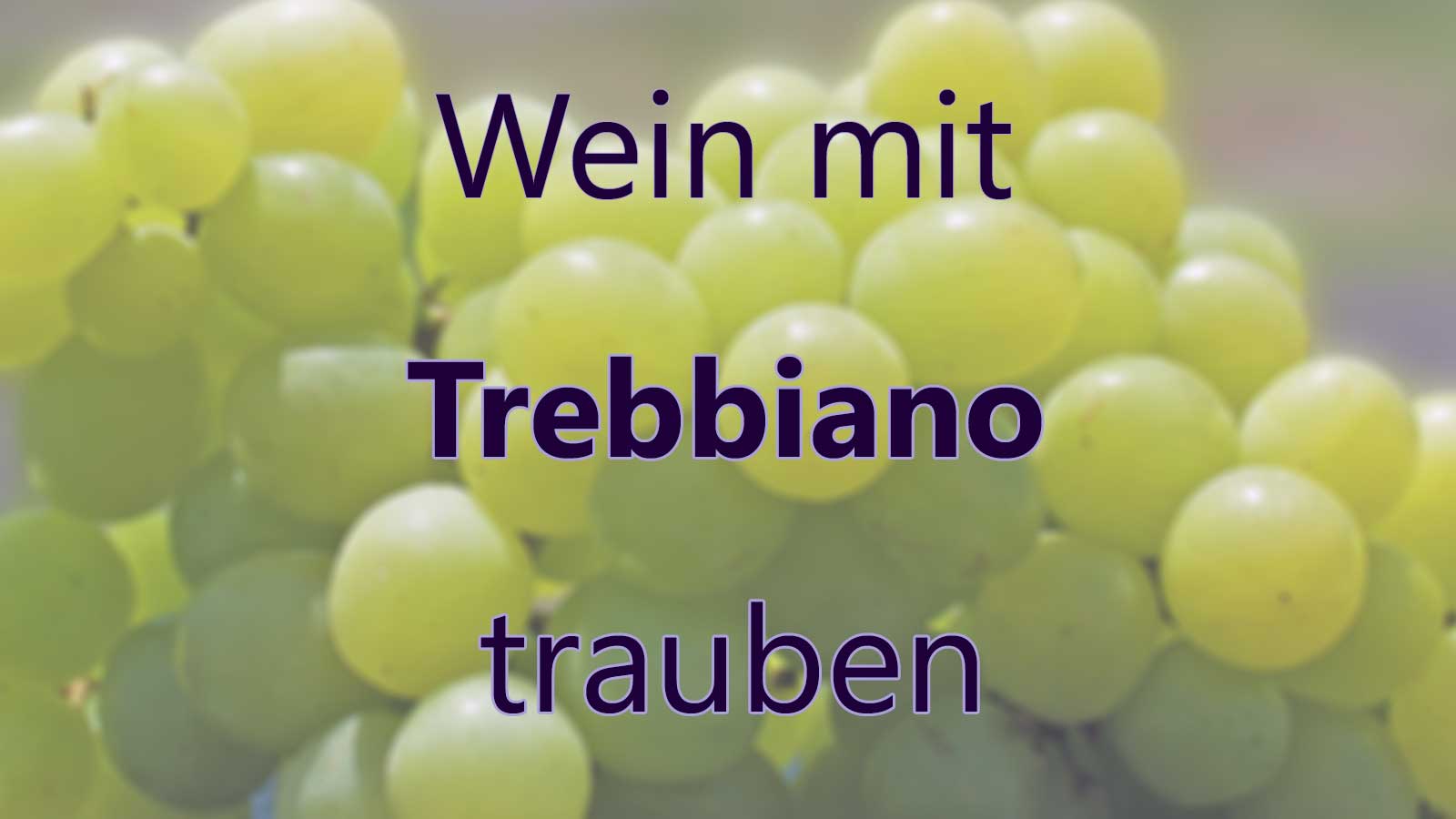 Wein mit Trebbiano Trauben