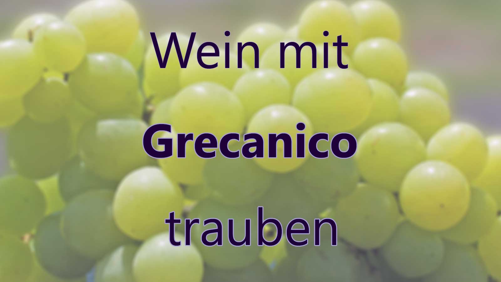 Wein mit Grecanico Trauben