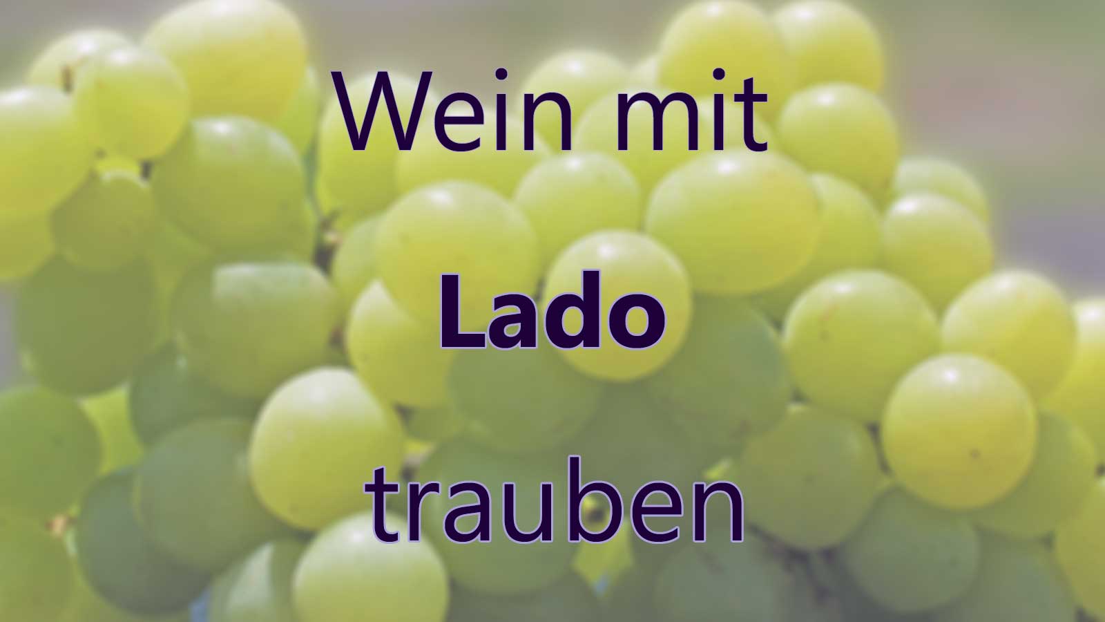 Wein mit Lado Trauben