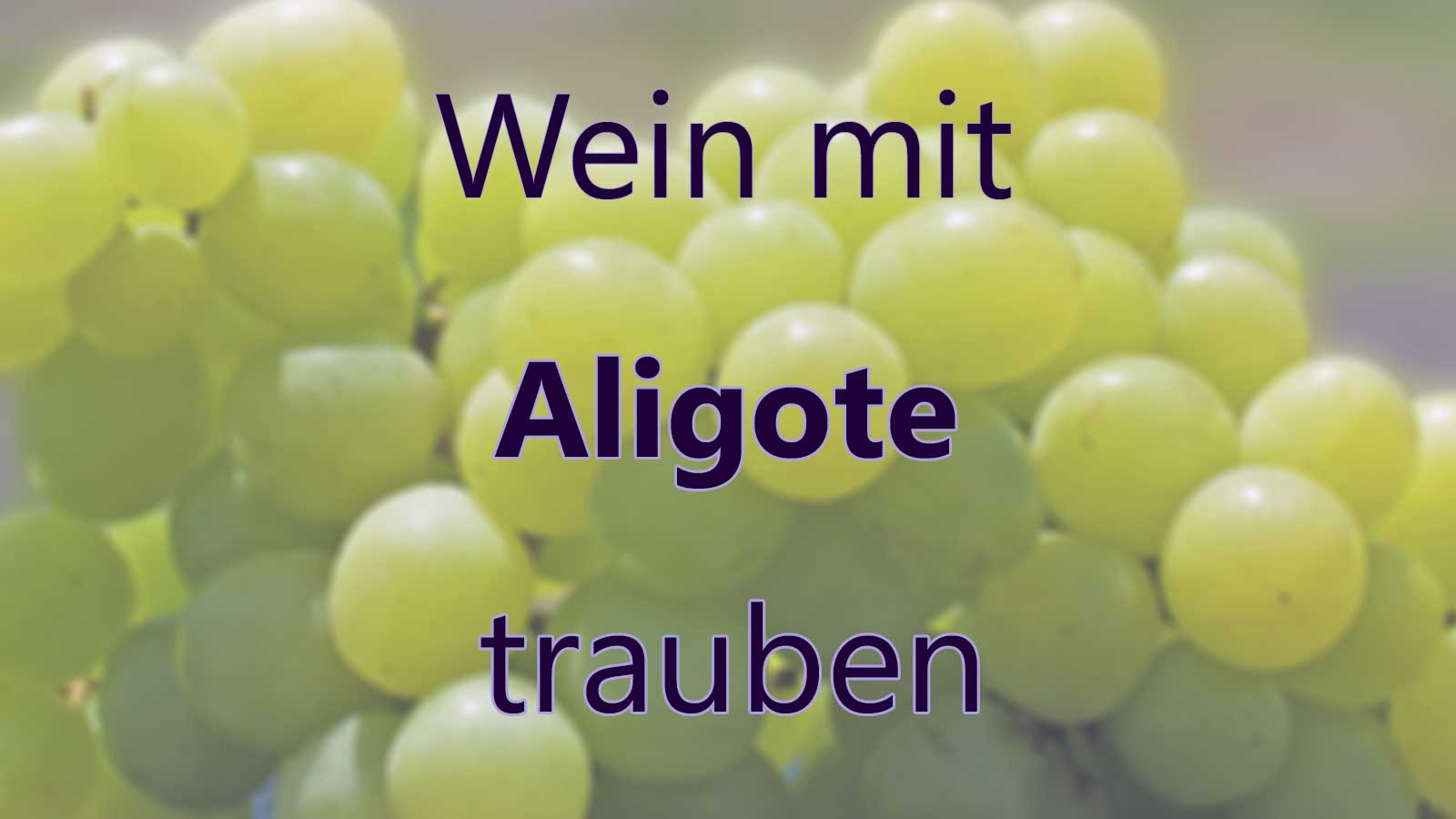 Wein mit Aligote Trauben