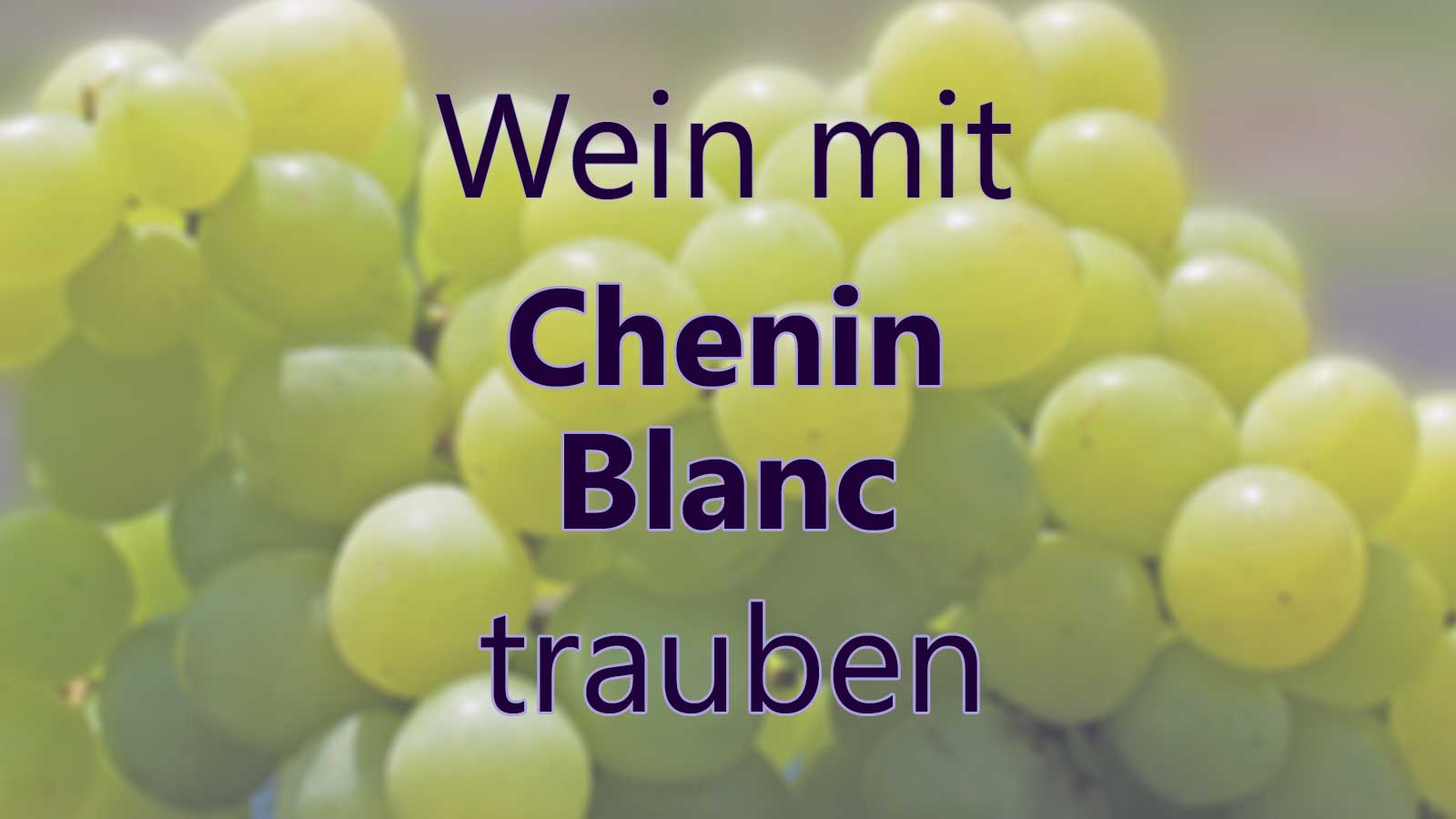 Wein mit Chenin Blanc Trauben