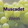 Muscadet Wein