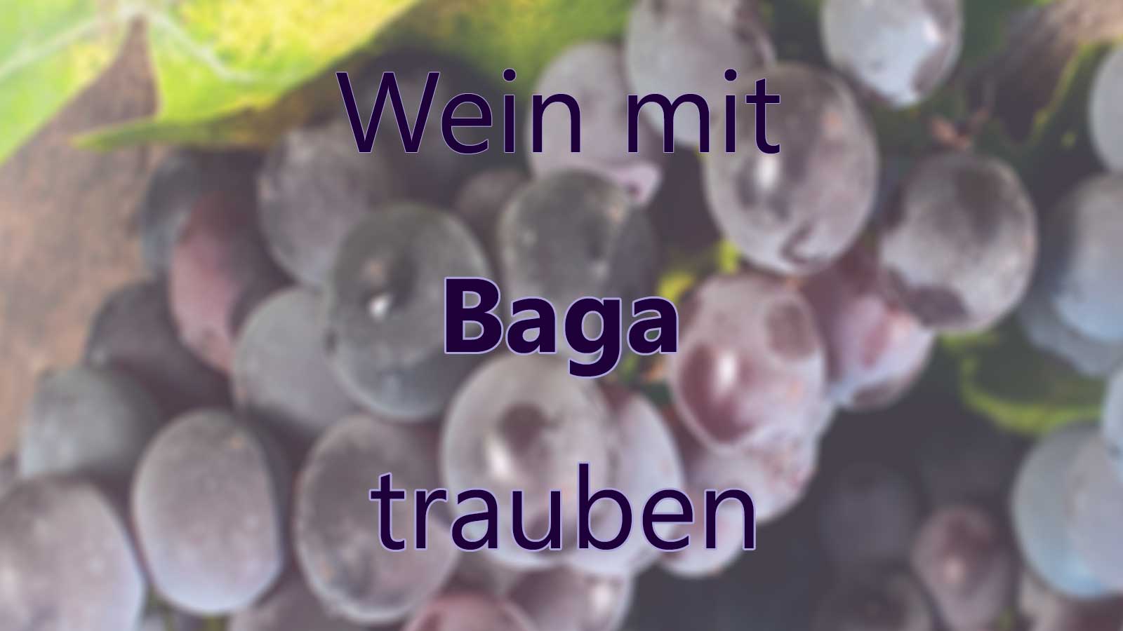 Wein mit Baga Trauben