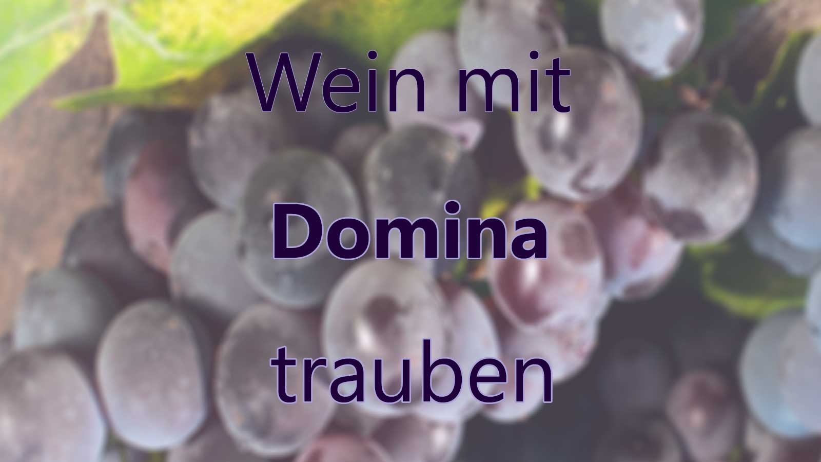 Wein mit Domina Trauben