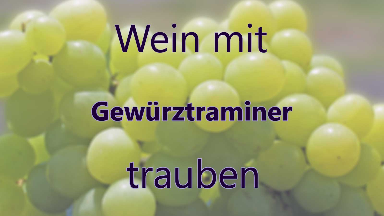 Wein mit Gewürztraminer Trauben